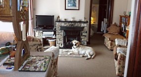 Lounge Lounge
